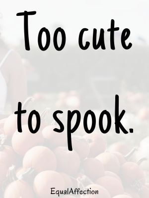 Cute Pumpkin Carving Quotes
